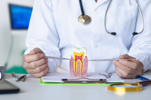 Best Emergency Root Canal Treatment in Monmouth Junction, NJ